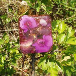Plaquette violette